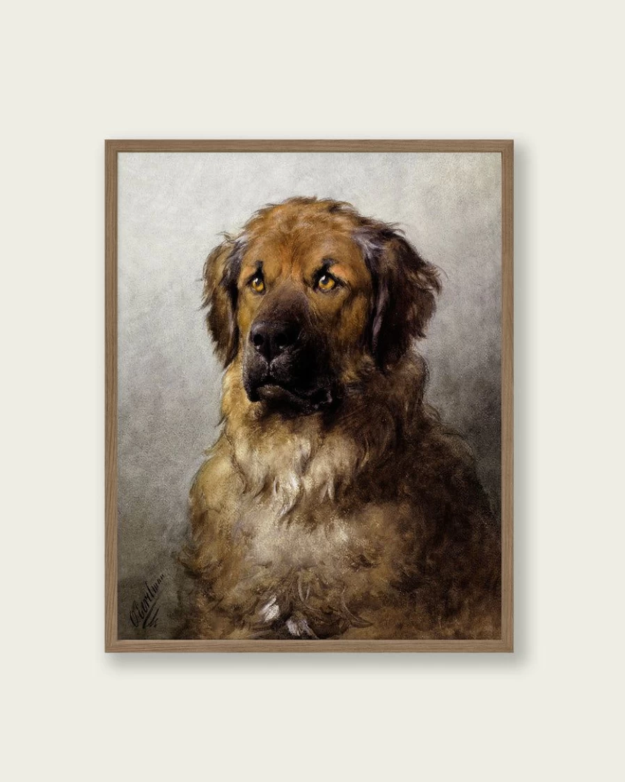 "Lone Fox 'Head Of A Leonberger' Dog Art Print - Premium Canine Portrait Wall Decor"