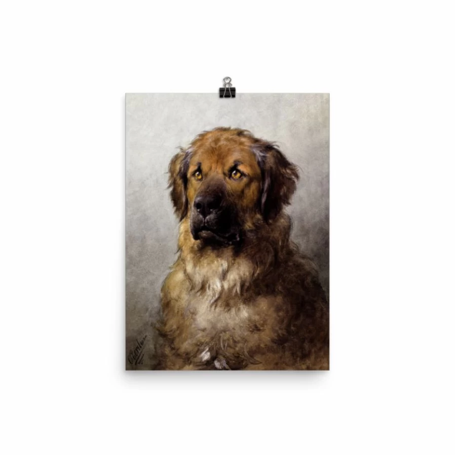 "Lone Fox 'Head Of A Leonberger' Dog Art Print - Premium Canine Portrait Wall Decor"