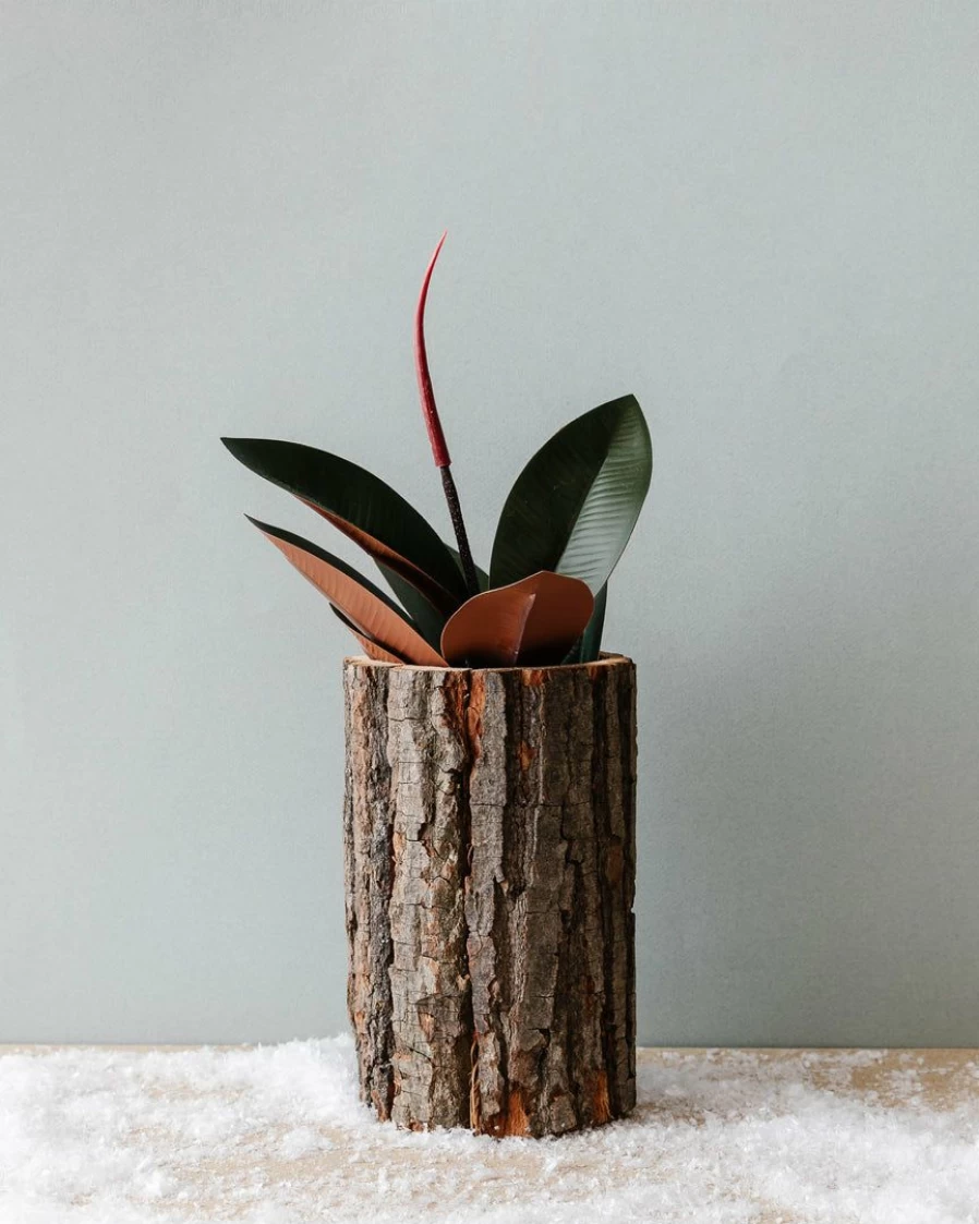 Reclaimed Wood Bark Planter – Rustic Modern Flower Pot for Indoor Outdoor Garden Decor