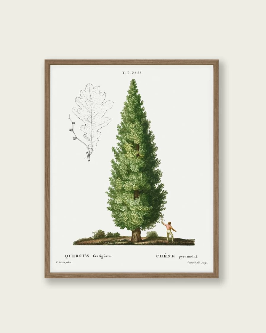 "Lone Fox 'Boy And Tree' Art Print - Whimsical Nature Wall Art for Modern Decor"