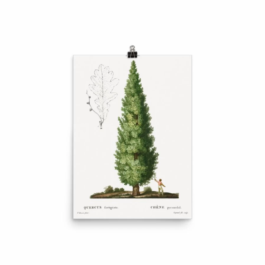 "Lone Fox 'Boy And Tree' Art Print - Whimsical Nature Wall Art for Modern Decor"