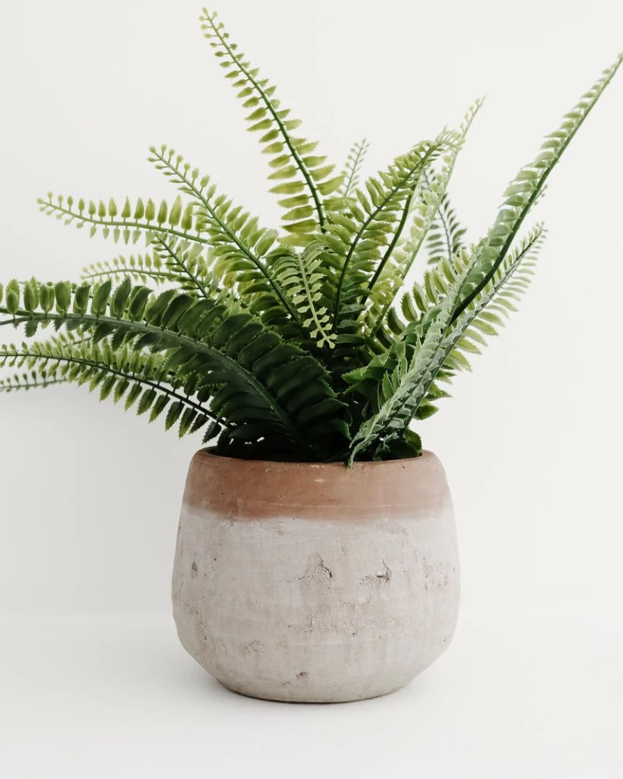 Landon Terracotta Planter – Handcrafted Clay Pot for Indoor and Outdoor Plants