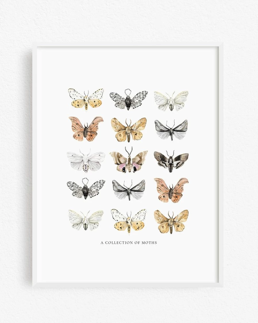 "Lone Fox Artistic Moth Print - Vintage Style Wall Art Decor"