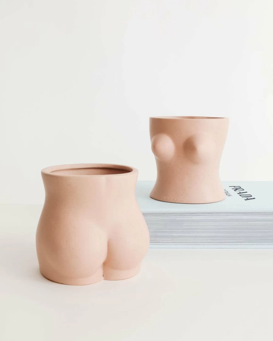 "Just Peachy Ceramic Planters - Chinese Handmade Decorative Flower Pots for Indoor Plants"