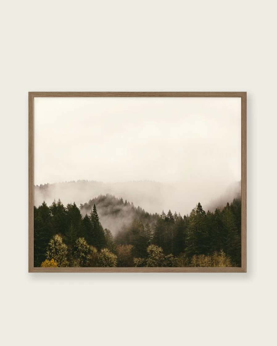 "Mist Over Dark Green Woods Art Print - Lone Fox Nature Landscape Wall Decor"