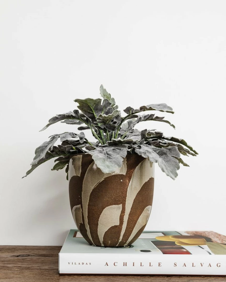 "Lone Fox New Cayden Terracotta Planter – Handcrafted Clay Pot for Indoor Plants"